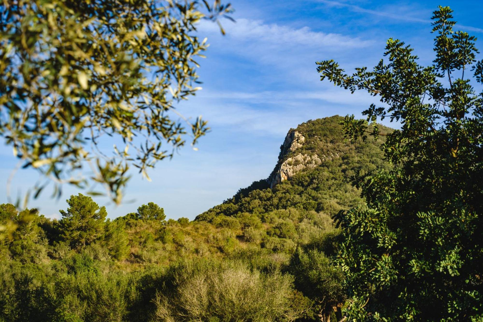 Finca Sa Bastida Luxury Retreat & Spa Adults Only Sant Joan Luaran gambar