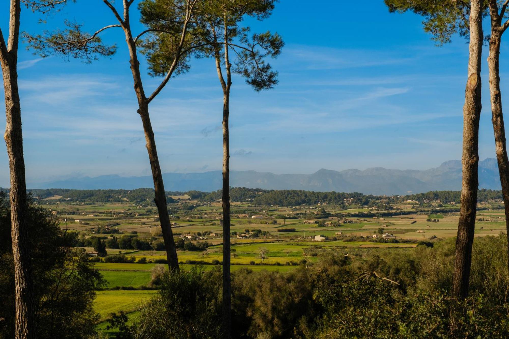 Finca Sa Bastida Luxury Retreat & Spa Adults Only Sant Joan Luaran gambar